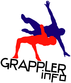 logo(2)