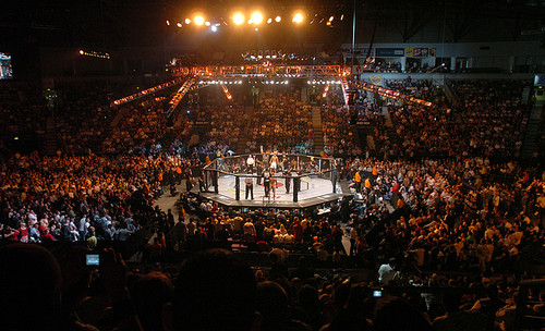 ufc-octagon2