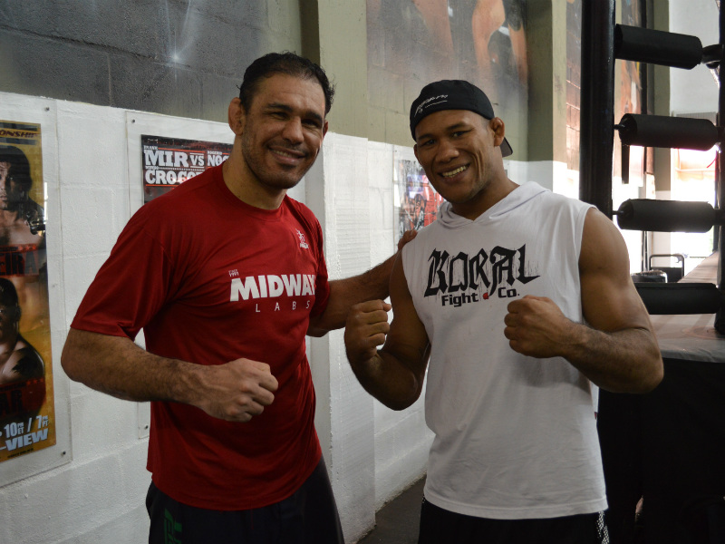 jacare