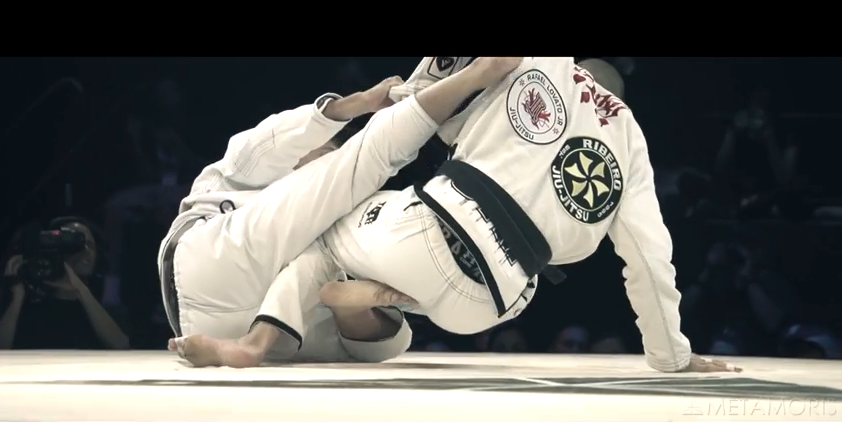 metamoris pro